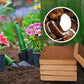 🌱Uitverkoop 50% UIT⏰Biologische Kokosnoot Coir voor Planten