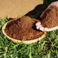 🌱Uitverkoop 50% UIT⏰Biologische Kokosnoot Coir voor Planten