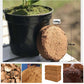 🌱Uitverkoop 50% UIT⏰Biologische Kokosnoot Coir voor Planten