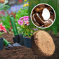 🌱Uitverkoop 50% UIT⏰Biologische Kokosnoot Coir voor Planten